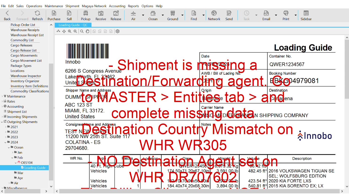 Quality control report showing shipment errors in Magaya